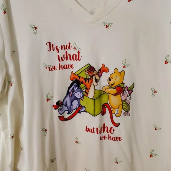 2 Disney Winnie the Pooh Women's Tees: Blue "Save the Bees" 4X & White "Gift" 4X - Picture 7 of 10